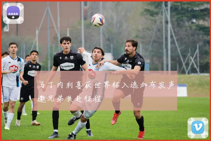 马丁内利喜获世界杯入选加布发声邀兄弟共赴征程