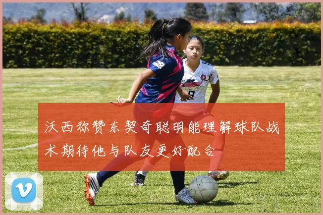 沃西称赞东契奇聪明能理解球队战术期待他与队友更好配合